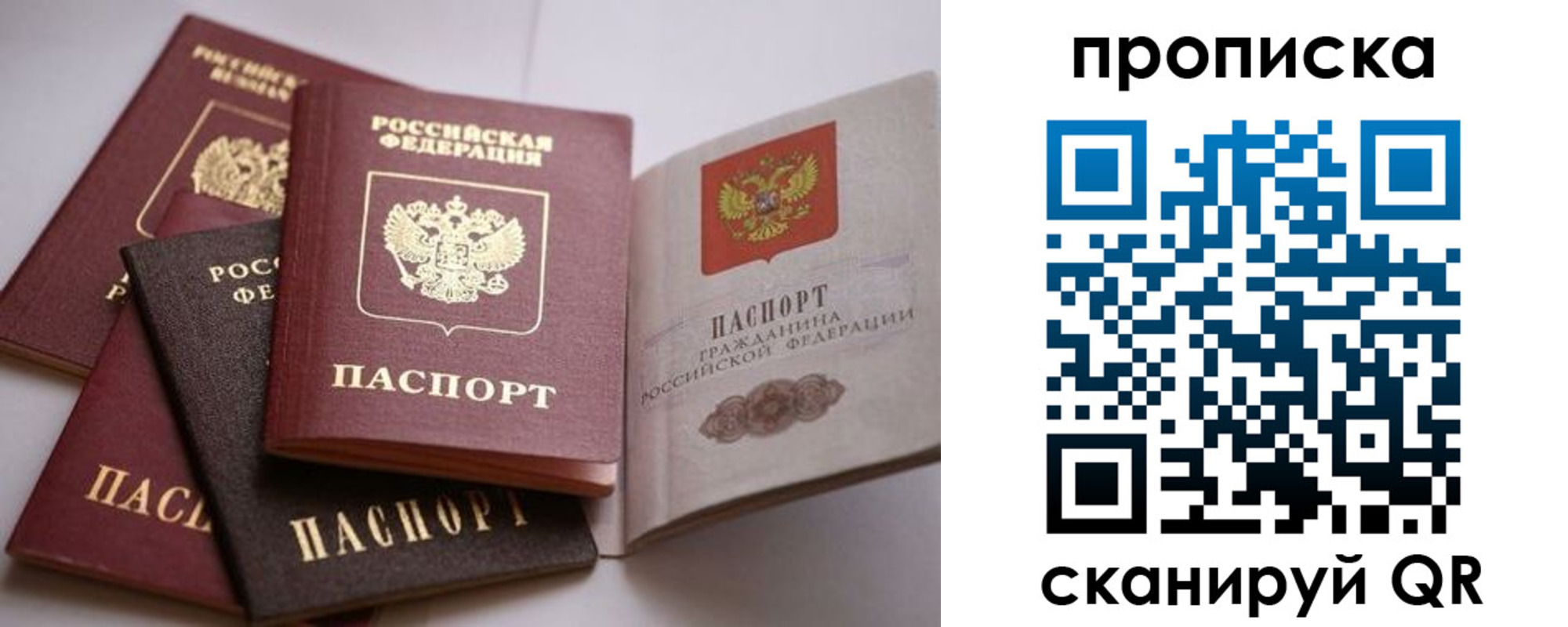 прописка ребенка в Бабаево